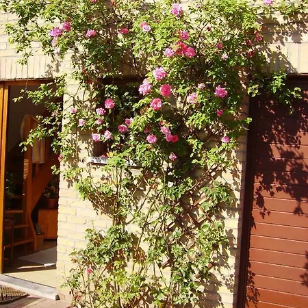 Villa Maison Entiere 5 Adultes A 8 Personnes *